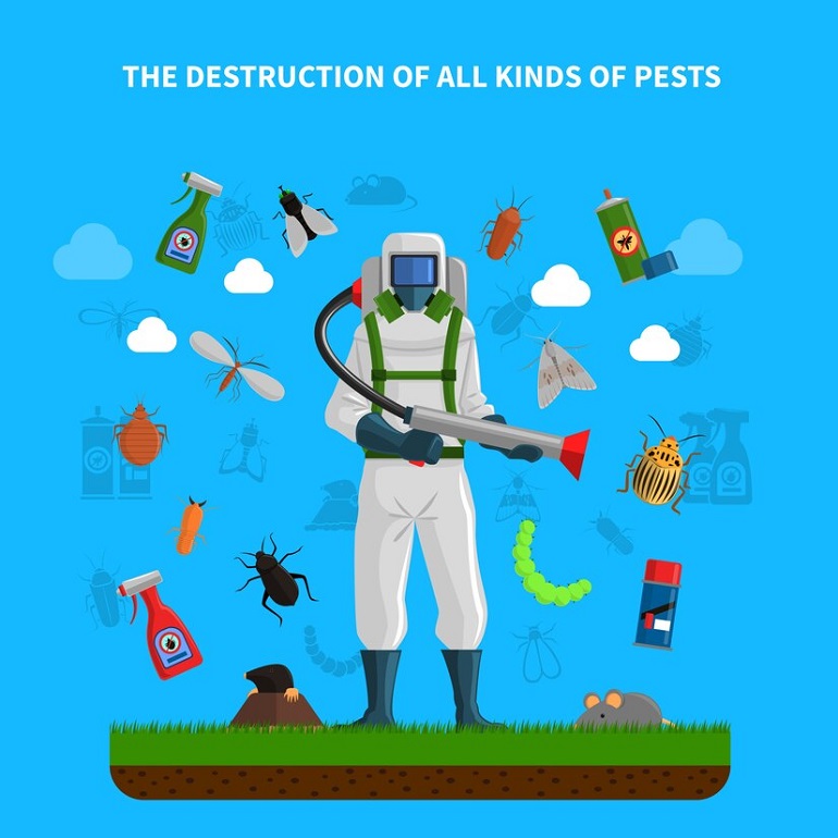 Importance of Choosing the Right Pest Control Service